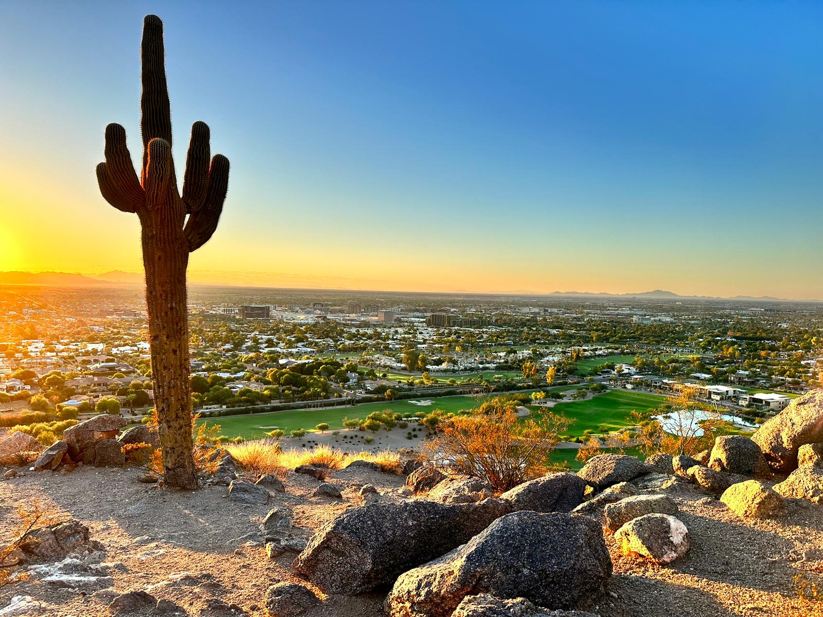 IST2023 news: Phoenix to LA – from the desert to the big city lights