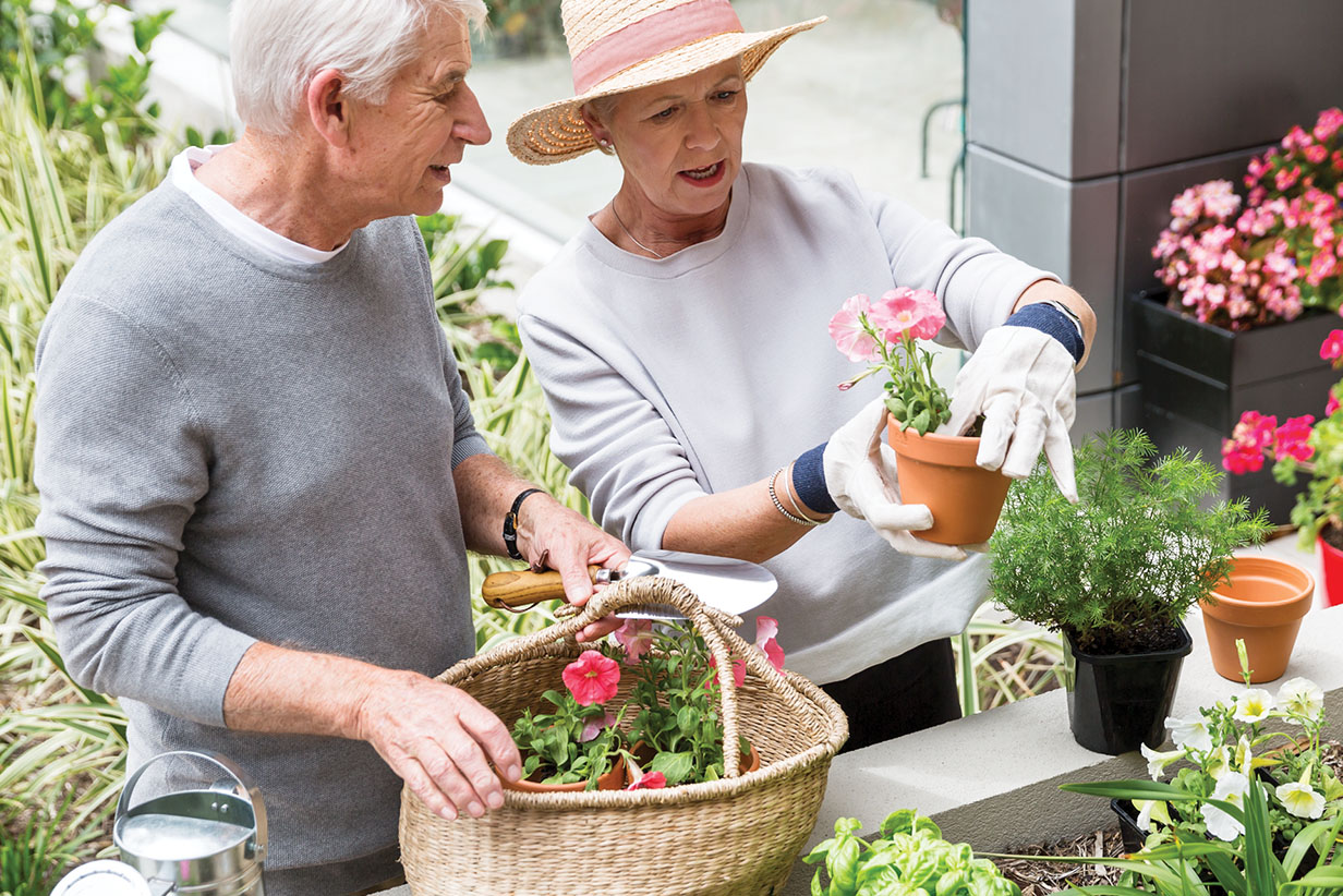 One Fell Swoop - senior couple gardening
