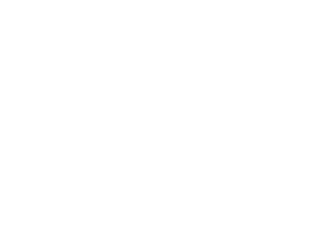 Real Estate Institute of New South Wales (REINSW)