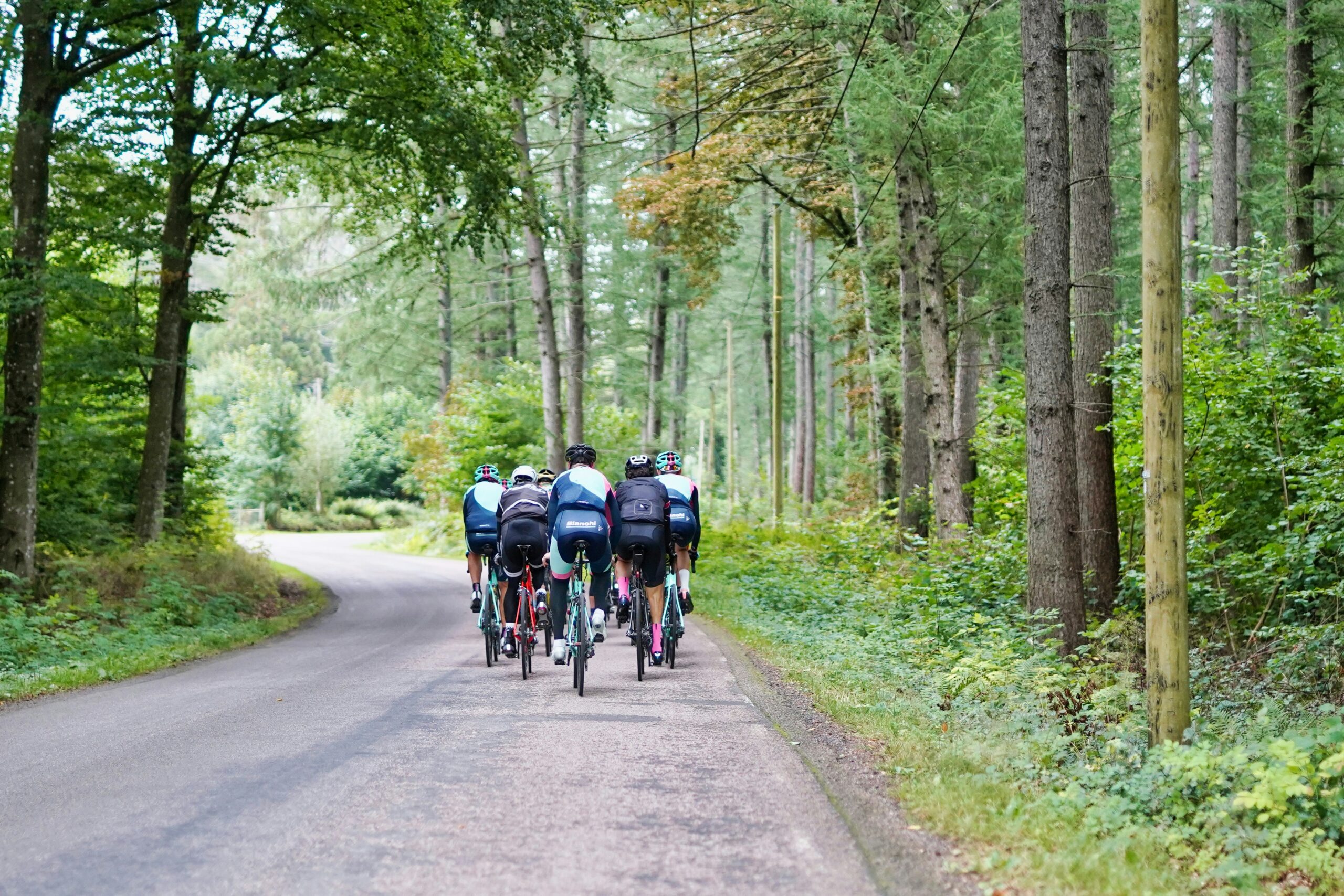 Team of cyclists ride closely together along country road surrounded by woodlands 