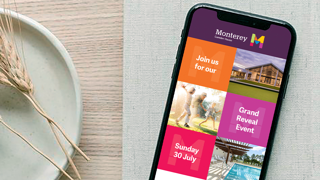 One Fell Swoop - Case Study - Allam Monterey eDM campaign